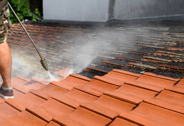 Best Local Pressure Washing Services  in Camp Hill, PA